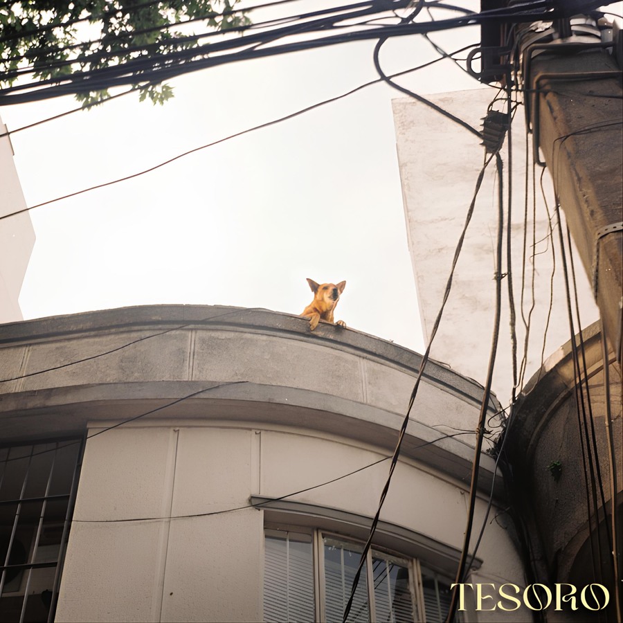 Bellavista - Tesoro (2024)